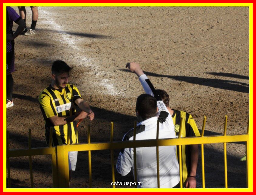 190310 Cephal_Torrenov 203_tn.jpg